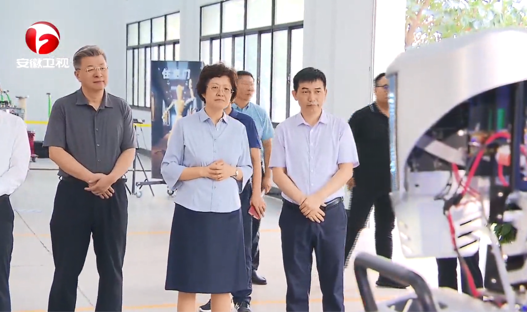 安徽省委副書記程麗華在磐石科技調(diào)研